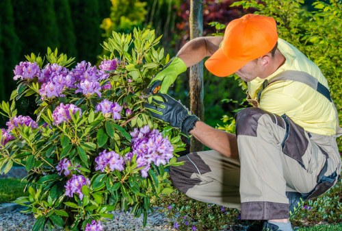 Contact and quote request for lawn mowing