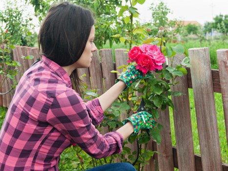 Insurance paperwork and certificate of public liability for gardening company
