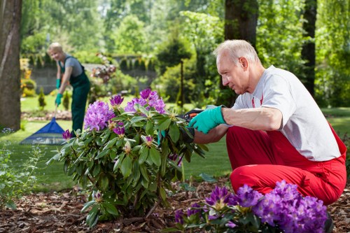 Operative preparing lawn mower for service at a residential garden