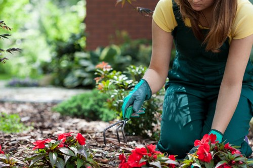 Seasonal garden in Highgate showcasing spring blooms