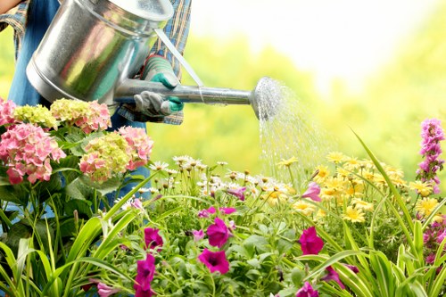 Professional landscape gardener planning a garden design in Highgate