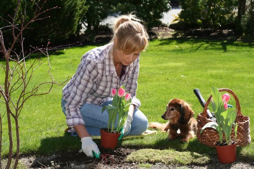 Inspector reviewing a lawn mowing job with notes