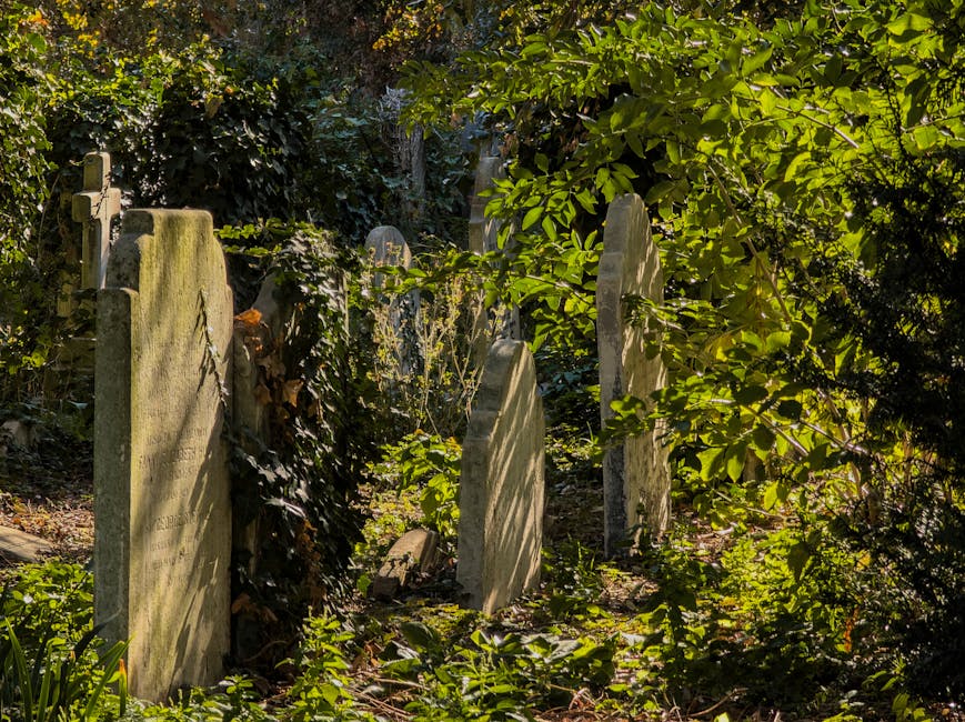 A tranquil garden scene featuring a narrow pathway bordered by a mix of weathered, moss-covered headstones and lush green foliage. The headstones vary in size and shape, some tall and upright, others 