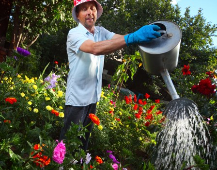 Healthy green grass maintained by Highgate lawn care experts